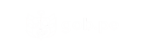 gob pe